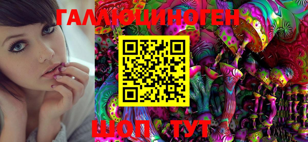 Славянск-на-Кубани  Псилоцибиновые грибы Cubensis  Вход с VPN 