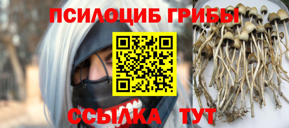 Псилоцибиновые грибы прущие грибы Славянск-на-Кубани